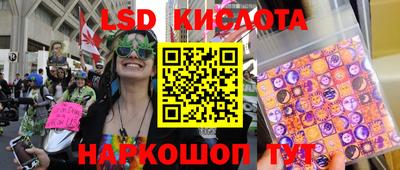 твердый Сланцы