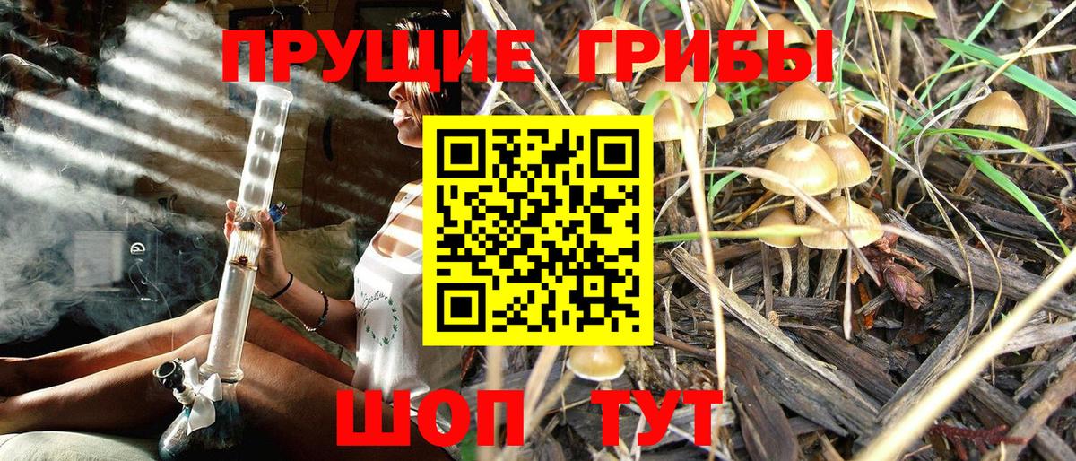 Галлюциногенные грибы прущие грибы Полевской